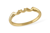C051-48479: LDS WED RG