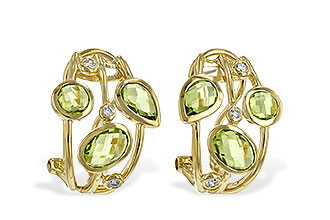 F235-13070: EARR 2.76 PERIDOT 2.83 TGW