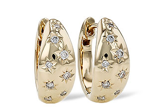 H321-45788: EARRINGS .17 TW
