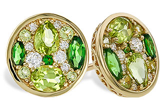 L320-58479: EARR 1.03 TW SEMI-PRECIOUS (TSAV, PER) 1.19 TGW